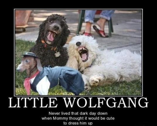 386842_470442756307983_329699013_n