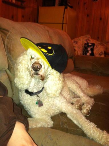 429275_371802816171978_1799666240_n