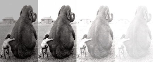 Screen Shot 2018-10-16 at 3.22.28 PM