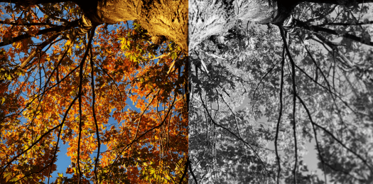 Screen Shot 2018-10-27 at 5.57.47 PM